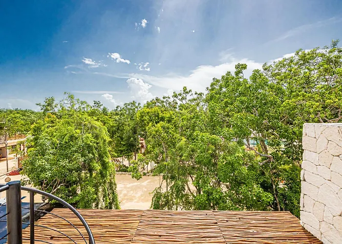 Jungle - Cenote Villa Tulum